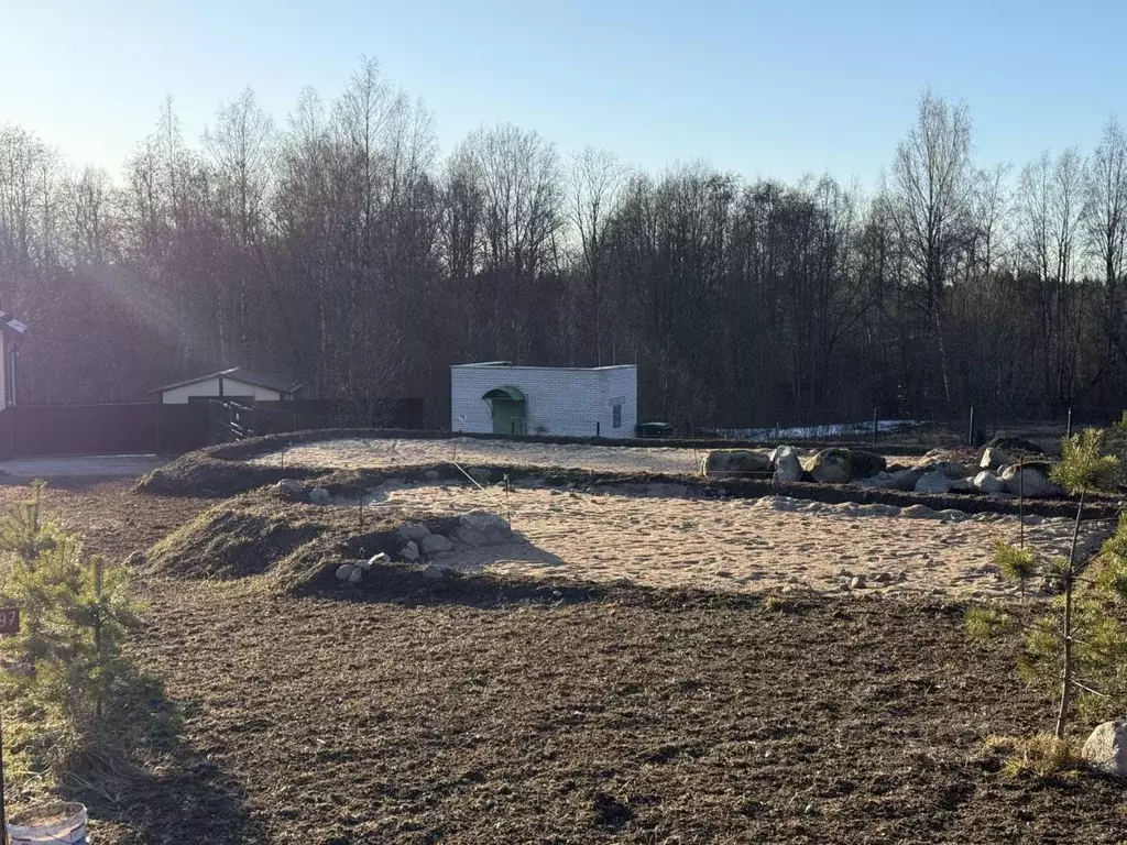 Участок в Ленинградская область, Выборгский район, Рощинское городское ... - Фото 1