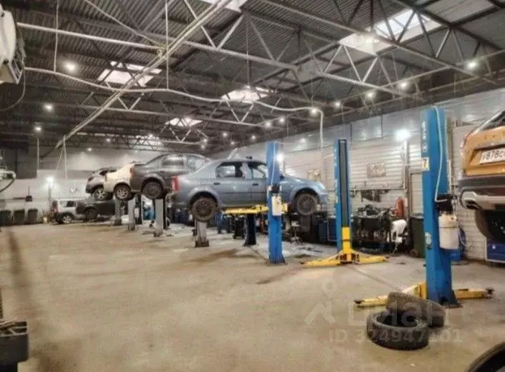 Помещение свободного назначения в Санкт-Петербург 1-й Верхний пер., 10 ... - Фото 2