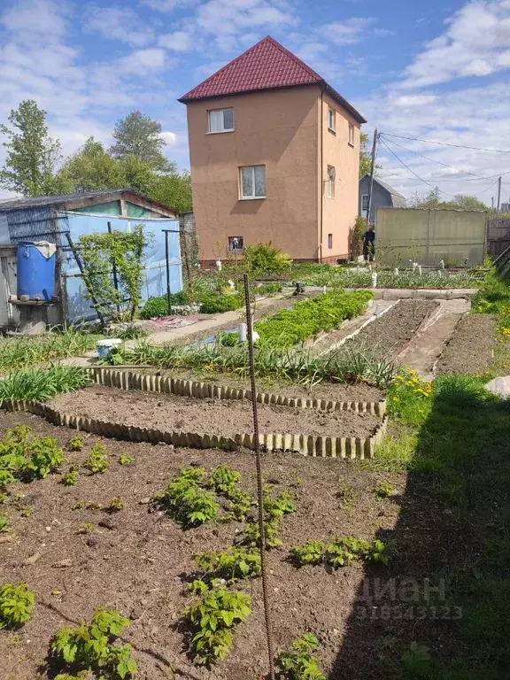 Дом в Калининградская область, Калининград Дельфин СНТ, ул. Грушевая, ... - Фото 2