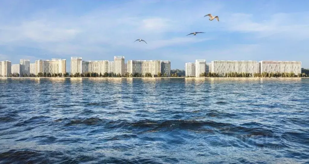 Помещение свободного назначения в Санкт-Петербург просп. Крузенштерна, ... - Фото 2