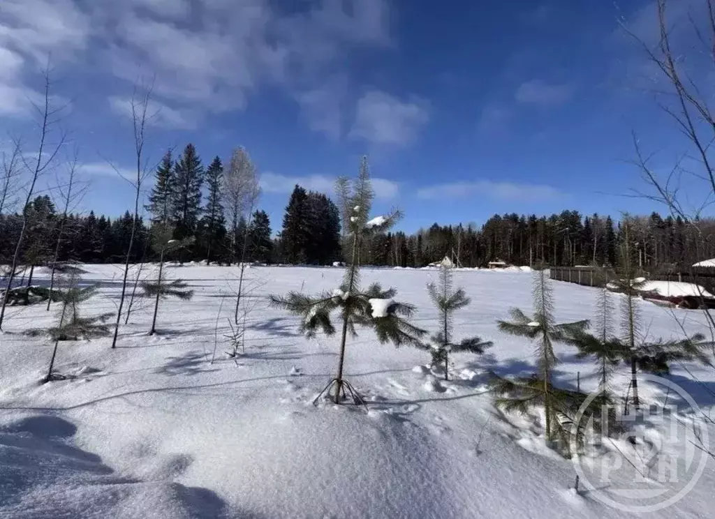 Участок в Ленинградская область, Кировский район, Синявинское ... - Фото 2