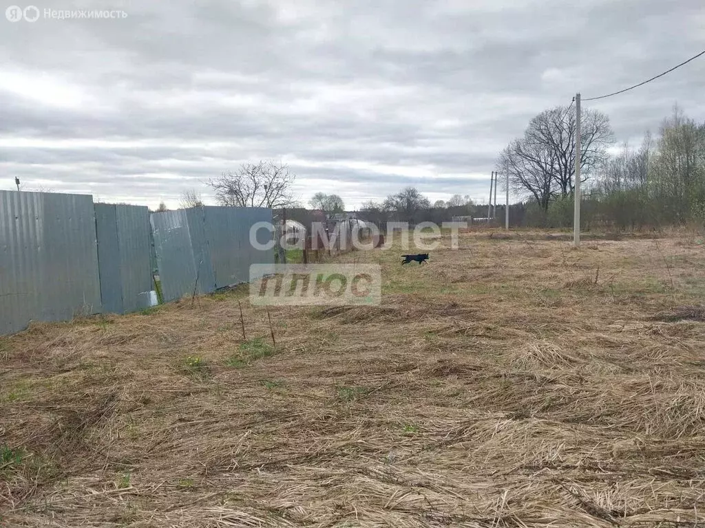Участок в деревня Тишинка (15.14 м) - Фото 1