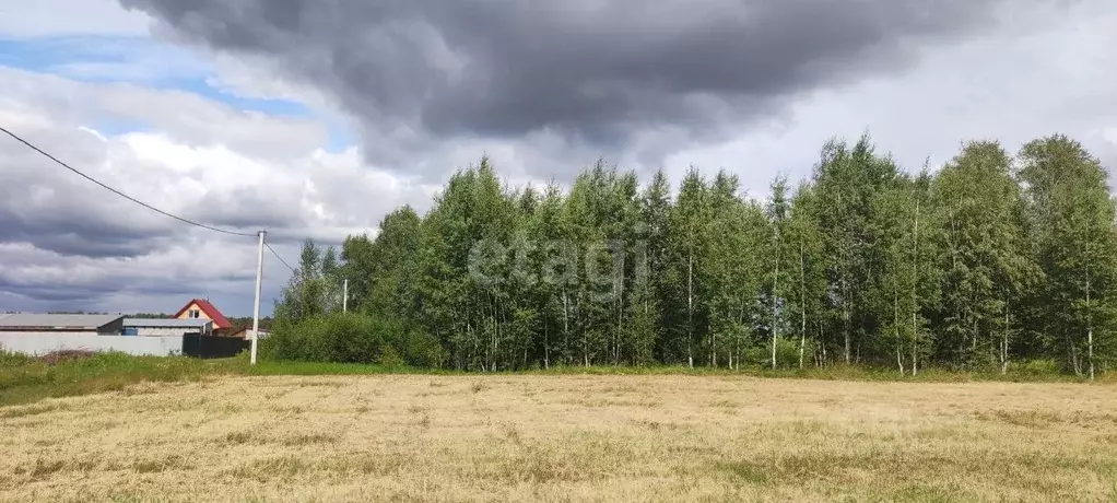 Участок в Тюменская область, Тюмень Зеленый Бор ДНТСН,  (10.09 сот.) - Фото 0