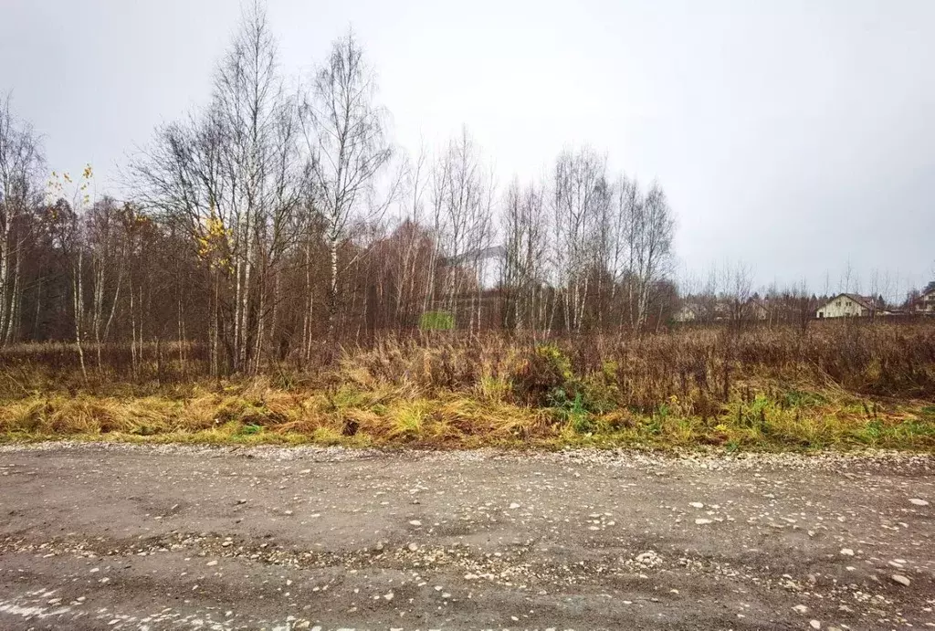 Участок в Калужская область, Боровский муниципальный округ, Кривское ... - Фото 1