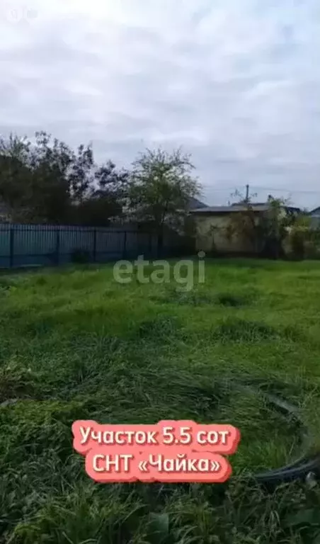 Участок в Калининградская область, Багратионовский муниципальный ... - Фото 0
