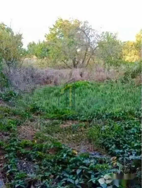 Участок в Крым, Евпатория городской округ, Заозерное пгт ул. Садовая ... - Фото 2