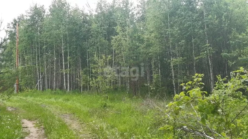 Участок в Красноярский край, Емельяновский район, Шуваевский ... - Фото 0