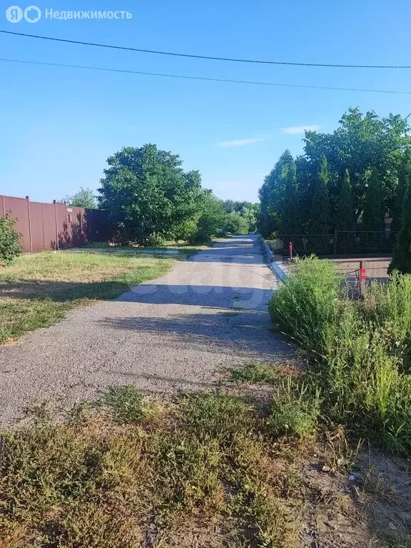 Участок в село Репное, 1-й Новый переулок (15 м) - Фото 2