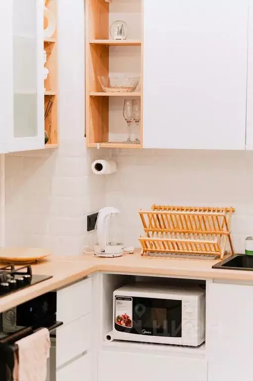 1-к кв. Псковская область, Псковский район, Завеличенская волость, д. ... - Фото 2