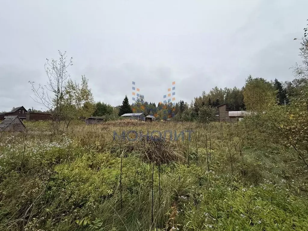 Участок в Московская область, Можайский муниципальный округ, Полесье ... - Фото 1