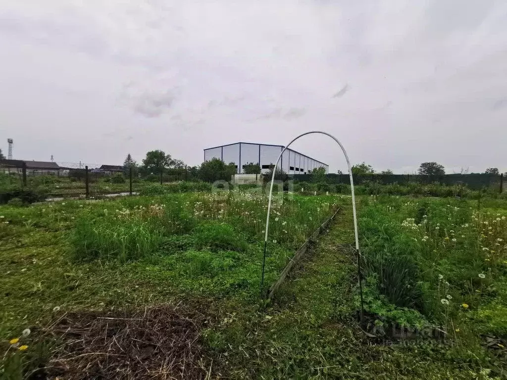 Участок в Приморский край, Артемовский городской округ, с. Кневичи  ... - Фото 0