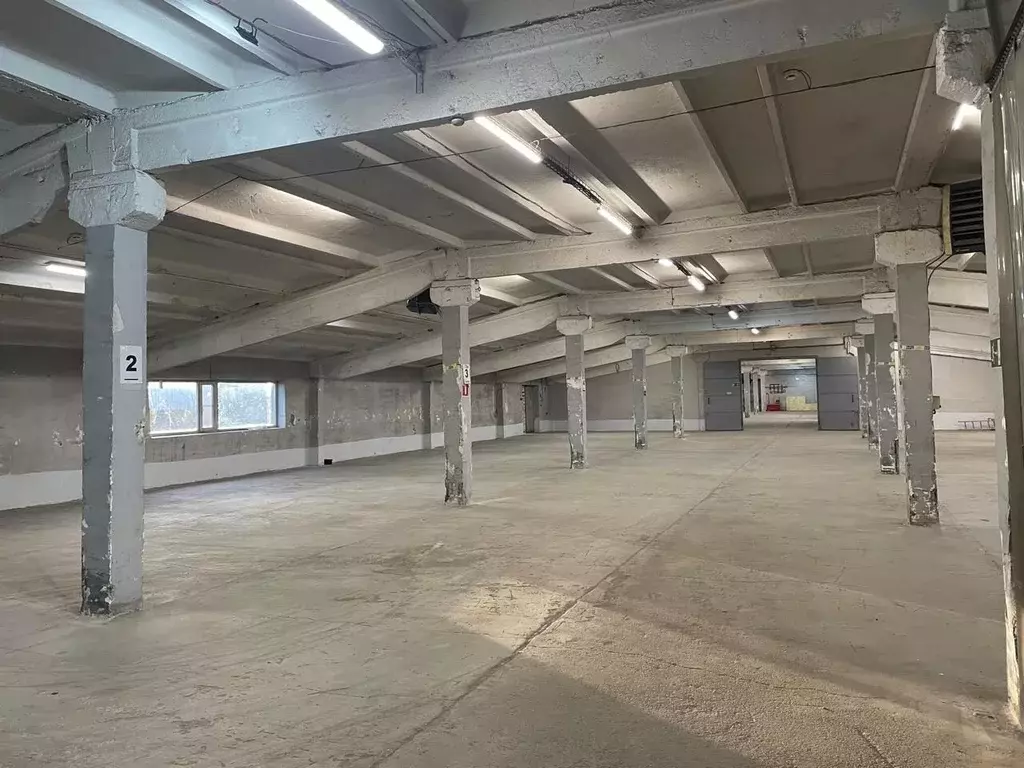 Склад в Ленинградская область, Ломоносовский район, д. Санино 42Е ... - Фото 2