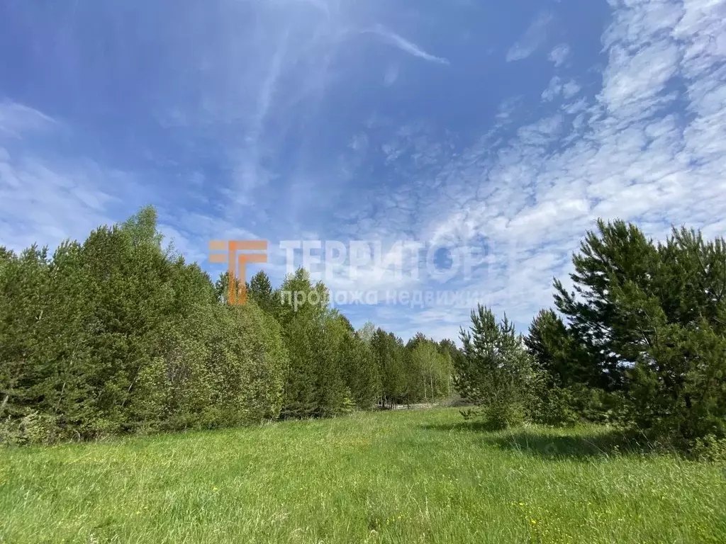 Участок в Пермский край, Пермский муниципальный округ, с. Усть-Качка ... - Фото 1