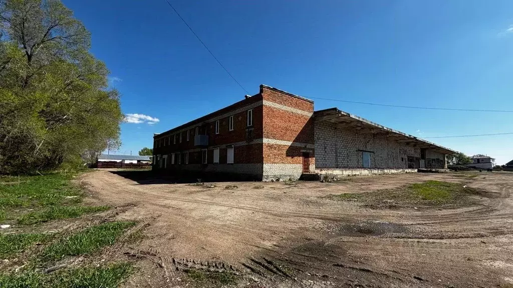 Производственное помещение в Новосибирская область, Колывань рп ул. ... - Фото 1