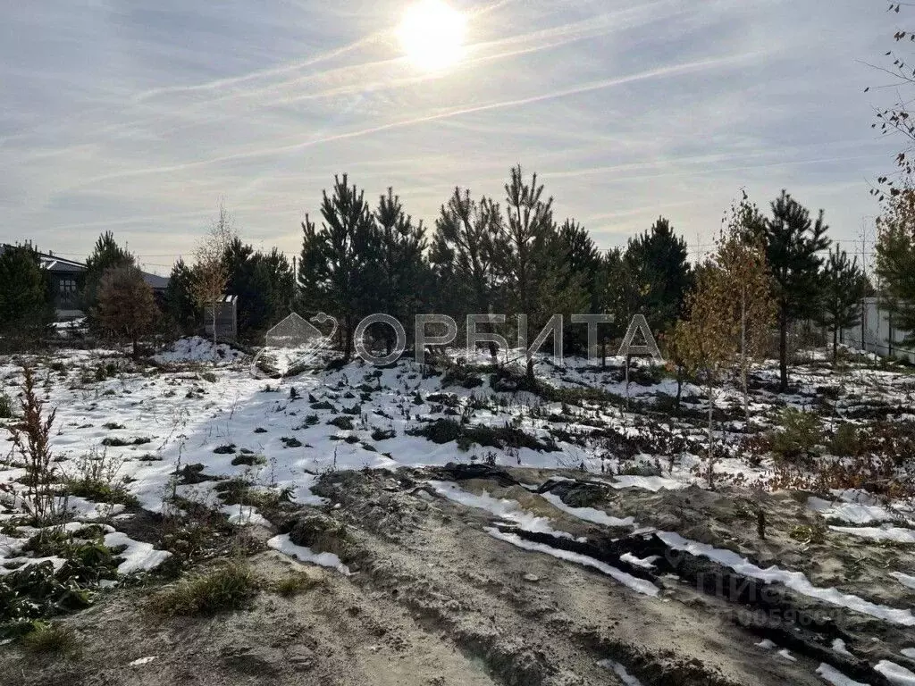 Участок в Тюменская область, Тюменский район, д. Елань ул. ... - Фото 0