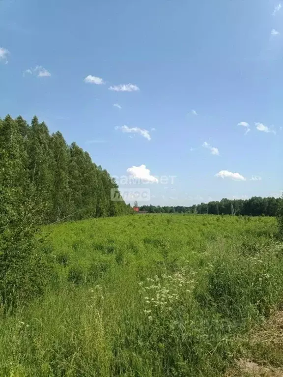 Участок в Нижегородская область, Бор муниципальный округ, д. ... - Фото 1