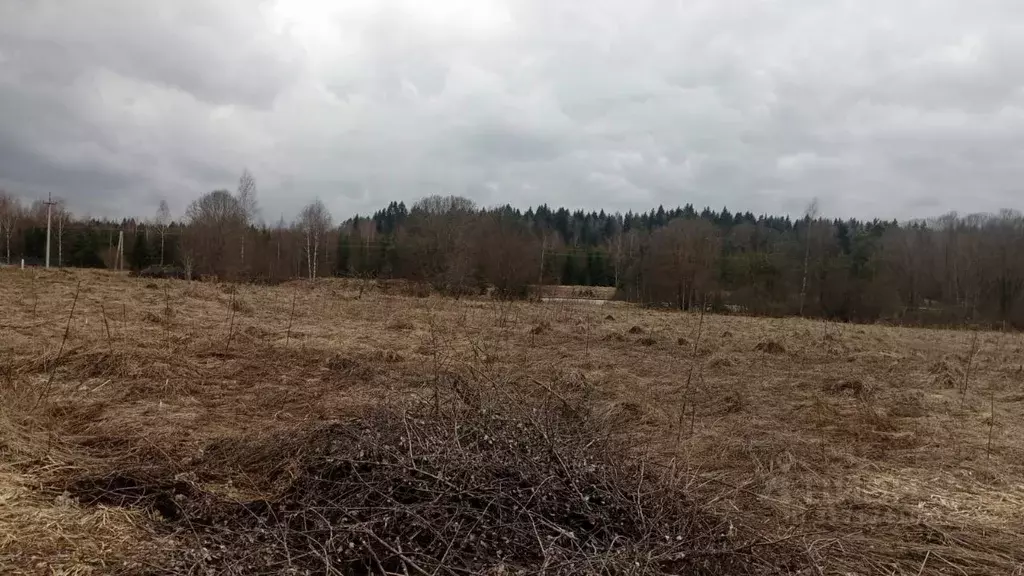 Участок в Московская область, Можайский муниципальный округ, д. ... - Фото 0