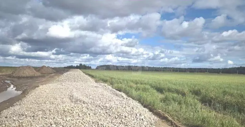 Участок в Свердловская область, Тугулымский муниципальный округ, с. ... - Фото 1