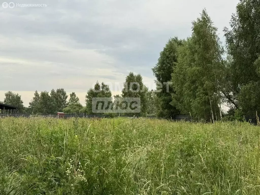 Участок в Московская область, городской округ Щёлково, территория Сады ... - Фото 2