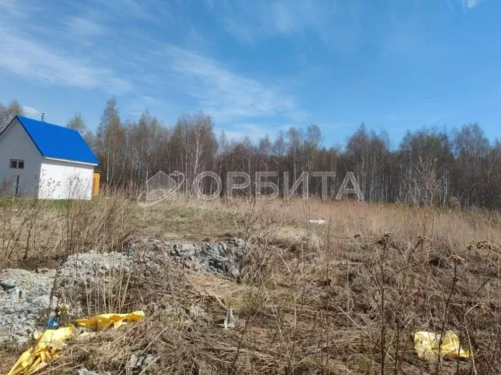 Участок в Тюменская область, Тюмень Автомобилист СНТ, ул. Рябиновая ... - Фото 2