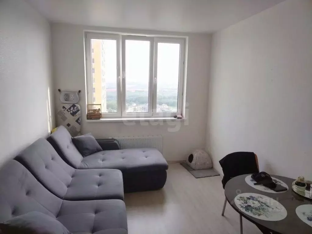 2-к кв. Нижегородская область, Нижний Новгород д. Анкудиновка, ул. ... - Фото 1