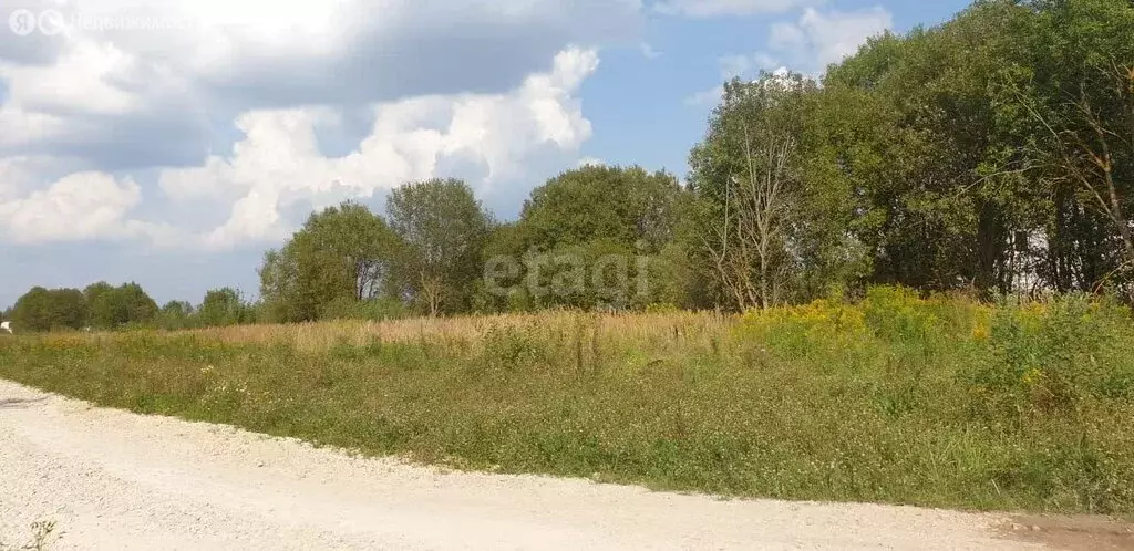 Участок в Калужская область, село Перемышль (13.14 м) - Фото 0