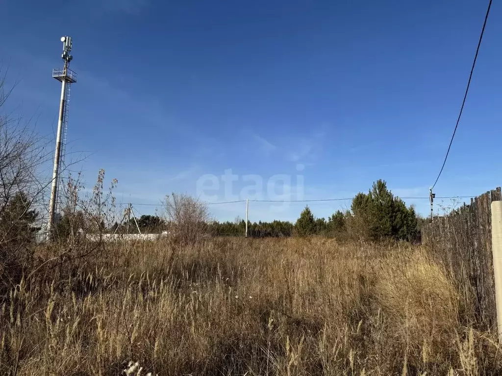 Участок в Курганская область, Шадринск Газовик кп, ул. Еловая (9.3 ... - Фото 1