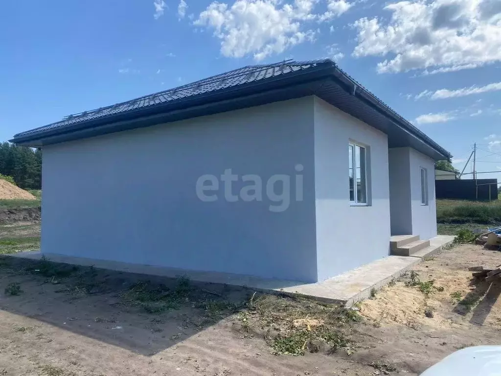 Дом в Воронежская область, Лискинский район, Старохворостанское с/пос, ... - Фото 2