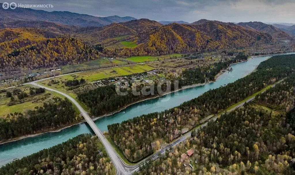 Участок в Майминский район, Соузгинское сельское поселение, ДНП Катунь ... - Фото 1