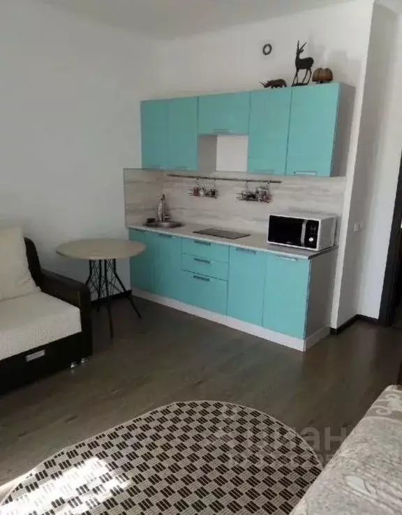 Студия Санкт-Петербург Комендантский просп., 64к1 (24.3 м) - Фото 1