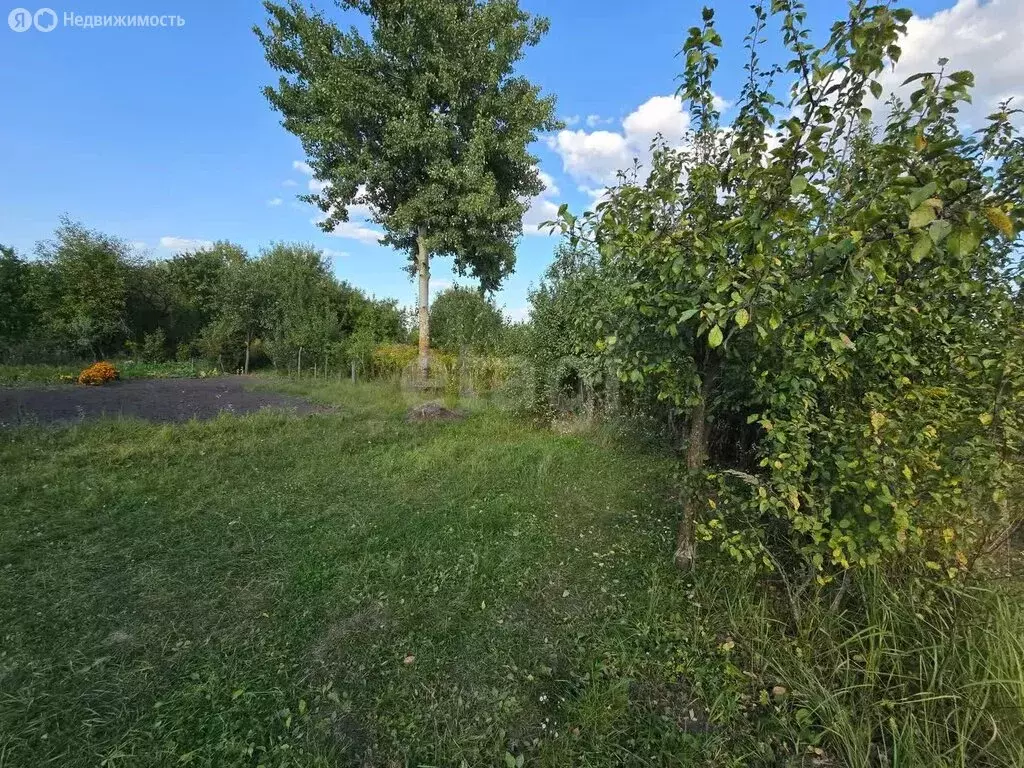 Участок в Путёвка, территория садоводческого общества Снежка (7 м) - Фото 1