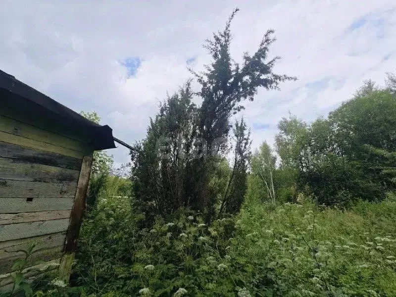 Участок в Калужская область, Калуга городской округ, д. Лихун ул. 1-я ... - Фото 2