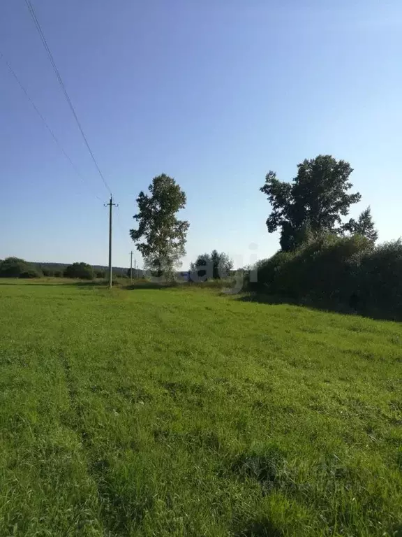 Участок в Кемеровская область, Новокузнецкий муниципальный округ, с. ... - Фото 1