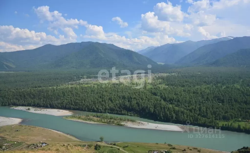 Участок в Алтай, Усть-Коксинский район, с. Тюнгур  (20.0 сот.) - Фото 1