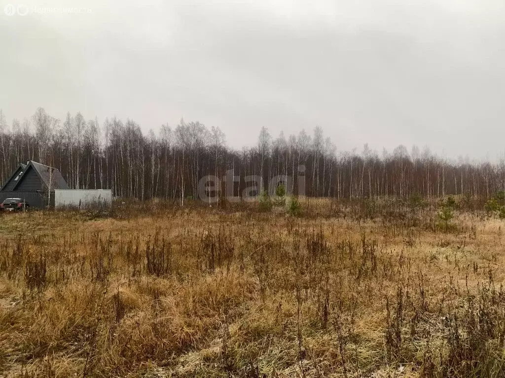 Участок в Шигалеевское сельское поселение, село Новое Шигалеево (8.85 ... - Фото 2