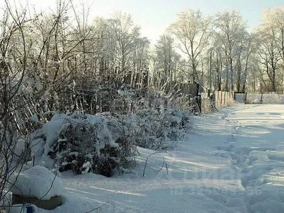 Участок в Курганская область, Кетовский муниципальный округ, с. Иковка ... - Фото 1