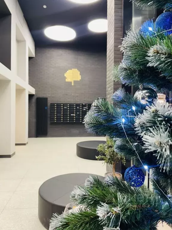 Студия Санкт-Петербург Планерная ул., 99 (22.0 м) - Фото 2