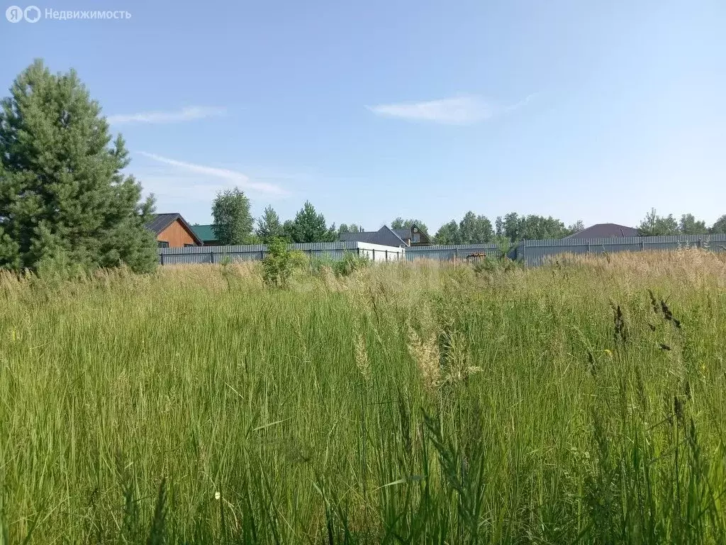 Участок в Сенгилеевский район, Тушнинское сельское поселение, село ... - Фото 0