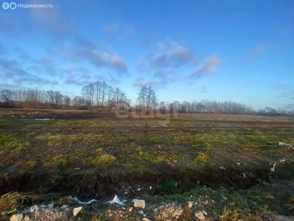 Участок в Калининградская область, Гурьевск (6 м) - Фото 2