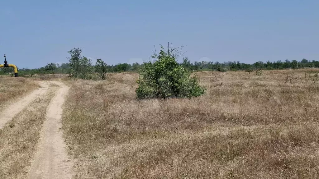 Участок 5,2 га (СНТ, ДНП) - Фото 1
