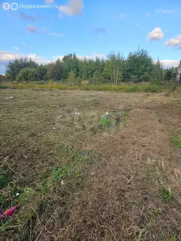 Участок в Тюмень, садовое товарищество Царево, Лесная улица (7.69 м) - Фото 2