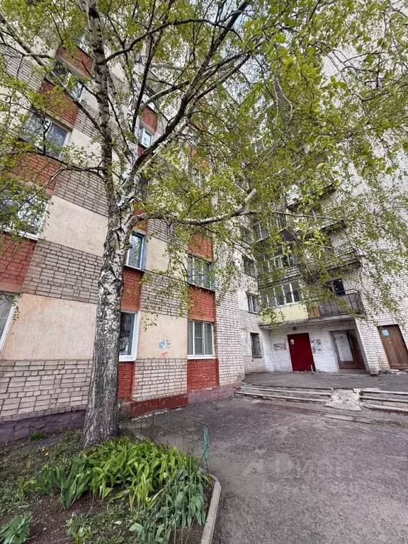 Комната Тамбовская область, Тамбов ул. Рылеева, 69 (15.7 м) - Фото 2