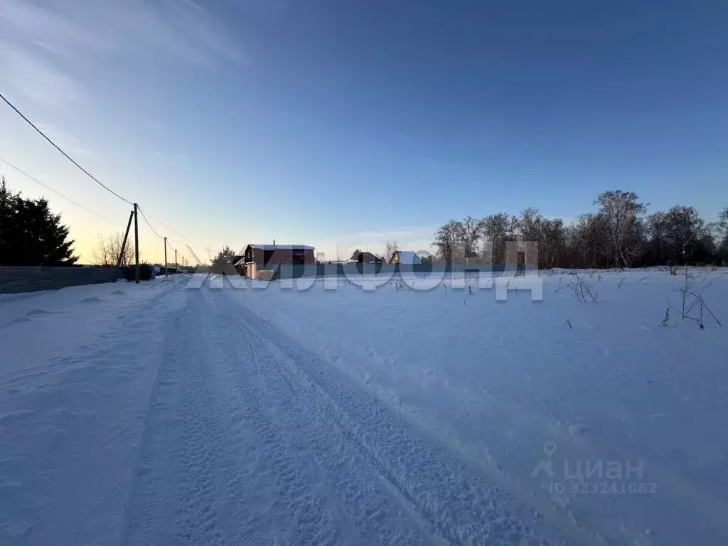 Участок в Новосибирская область, Новосибирский район, Боровской ... - Фото 2