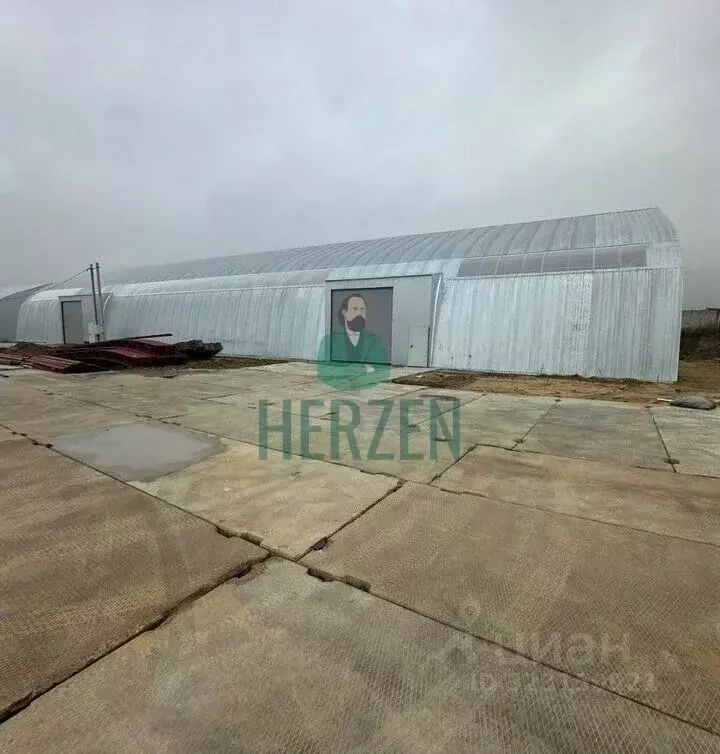 Производственное помещение в Московская область, Балашиха ш. ... - Фото 0