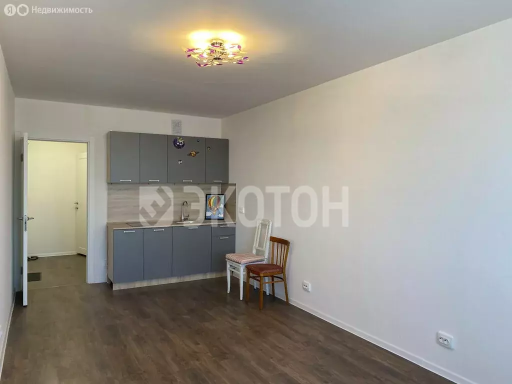 Квартира-студия: Санкт-Петербург, проспект Большевиков, 68к1 (25.3 м) - Фото 1