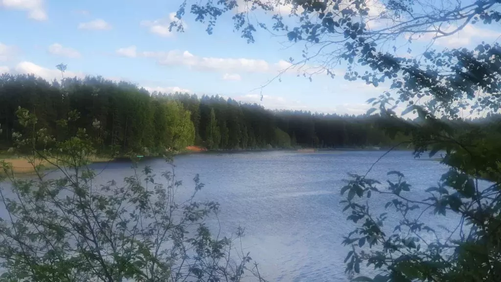 Участок в Ленинградская область, Гатчинский район, Вырица городской ... - Фото 1