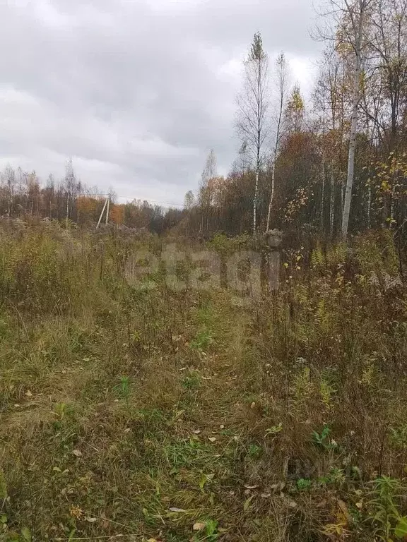 Участок в Калужская область, Город Калуга городской округ, д. Груздово ... - Фото 0