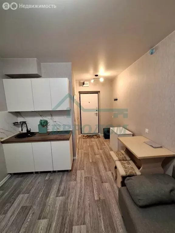 Квартира-студия: посёлок Садовый, микрорайон Околица, 7 (18 м) - Фото 2