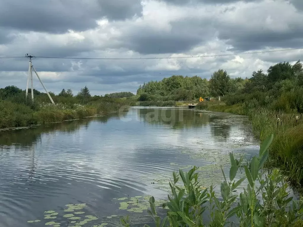 Участок в Костромская область, Красносельский район, Шолоховское ... - Фото 1