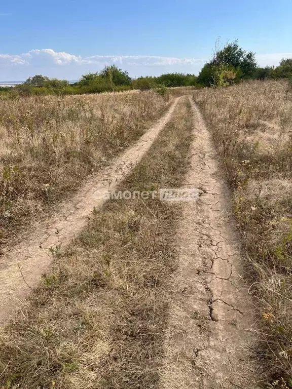 Участок в Белгородская область, Яковлевский муниципальный округ, с. ... - Фото 1